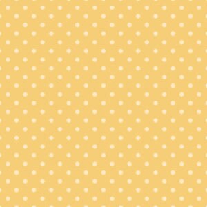 LAST ONE!! Poppie Cotton 5 Yard Bundle Box Assorted Prints on Yellows Premium 100% Cotton Quilt Shop Quality Fabrics