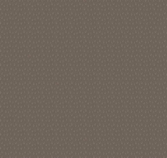 LAST BOLT! Riley Blake Silent Night Fabric Collection Desert on Stone Premium 100% Quilt Shop Quality Fabrics