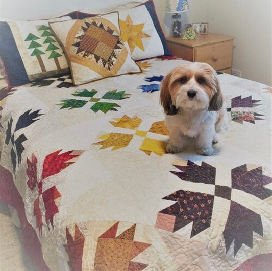 Quiltsmart Bear Paw Quilt Printed Interfacing Pack & Pattern