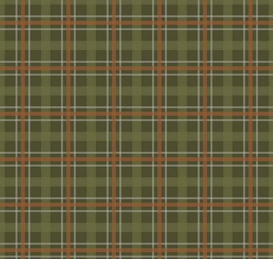 Riley Blake Cretaceous Fabric Collection Cretaceous Plaid on Hunter Premium 100% Cotton