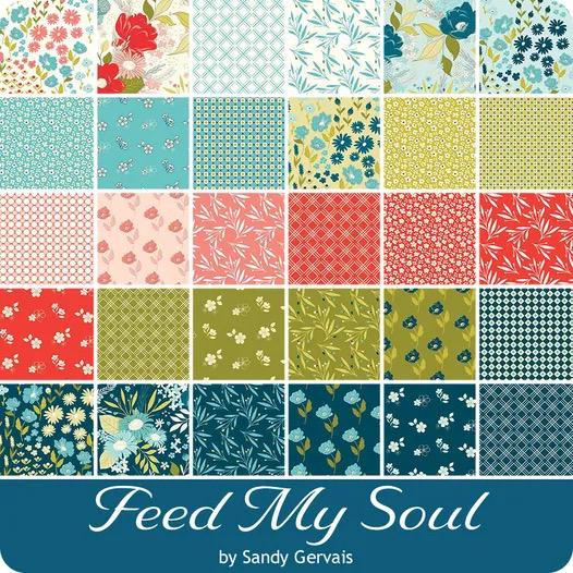 Riley Blake Sandy Gervais Feed My Soul Fabric Collection 5" Stacker (42 Pieces Per Bundle)