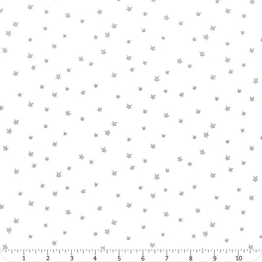 Riley Blake Bee Plaids Fabric Collection Pebble Farmhouse Star C12039 Authentic Premium 100% Cotton Quilt Shop Quality Fabrics