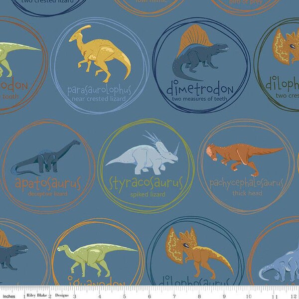 Riley Blake Amanda Niederhauser Swiss Cretaceous Quilt Kit Featuring Riley Blake Cretaceous Fabric Collection Finished Size: 48"x54"
