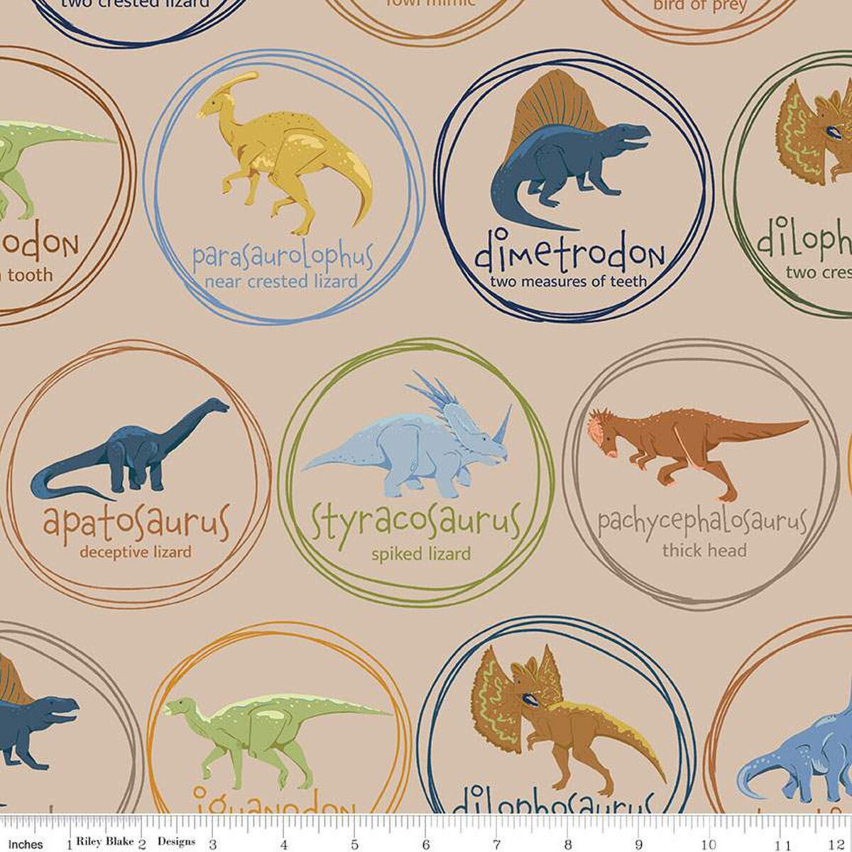 Riley Blake Amanda Niederhauser Swiss Cretaceous Quilt Kit Featuring Riley Blake Cretaceous Fabric Collection Finished Size: 48"x54"