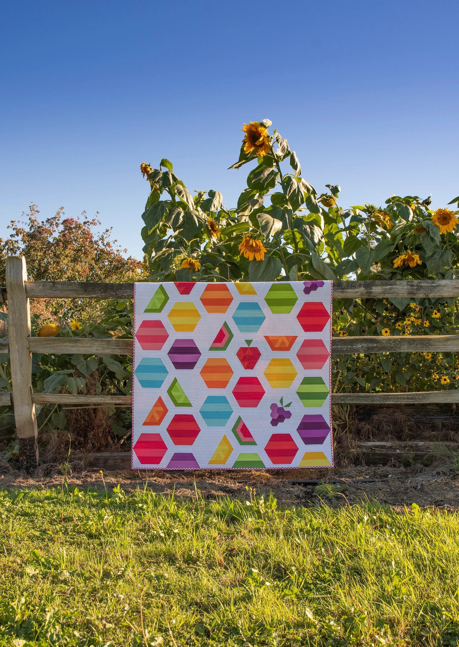 Krista Moser's The Quilted Life Fresh Fruit Sampler Quilt Pattern (2 Size Variations Per Pattern)