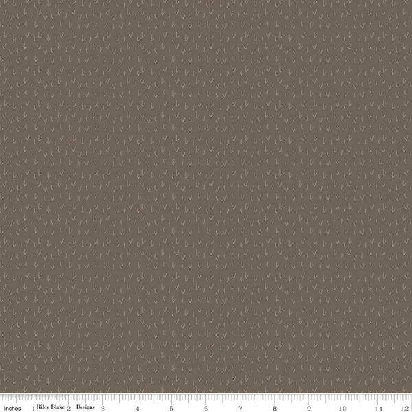 LAST BOLT! Riley Blake Silent Night Fabric Collection Desert on Stone Premium 100% Quilt Shop Quality Fabrics