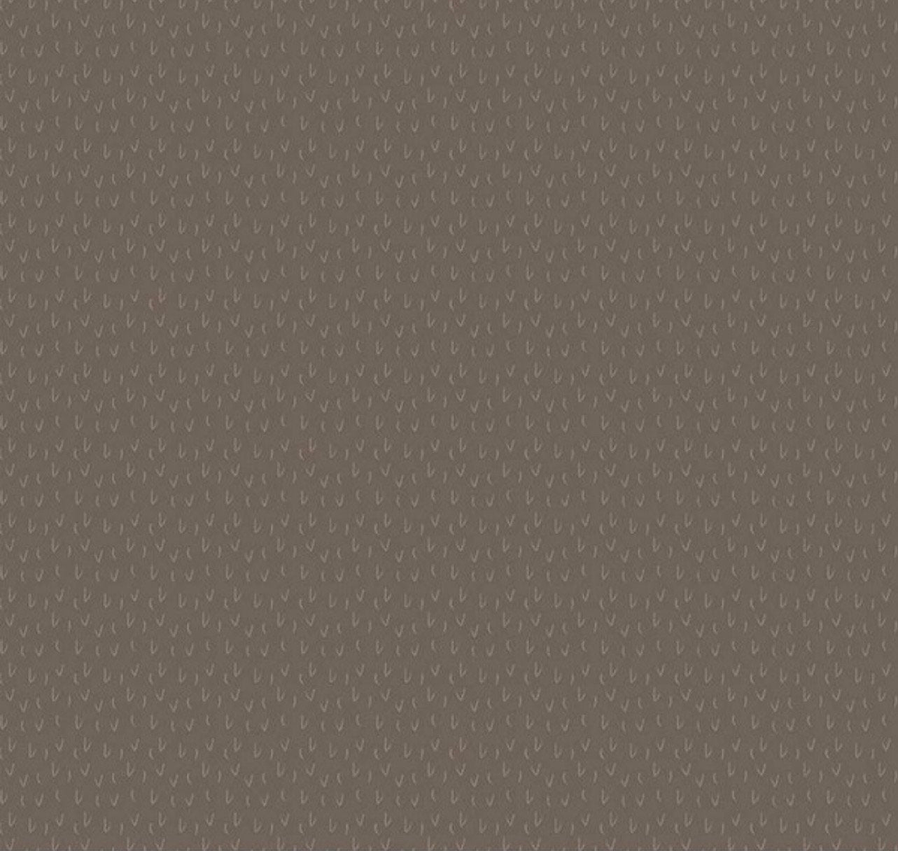 LAST BOLT! Riley Blake Silent Night Fabric Collection Desert on Stone Premium 100% Quilt Shop Quality Fabrics