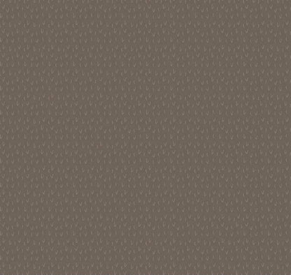 LAST BOLT! Riley Blake Silent Night Fabric Collection Desert on Stone Premium 100% Quilt Shop Quality Fabrics