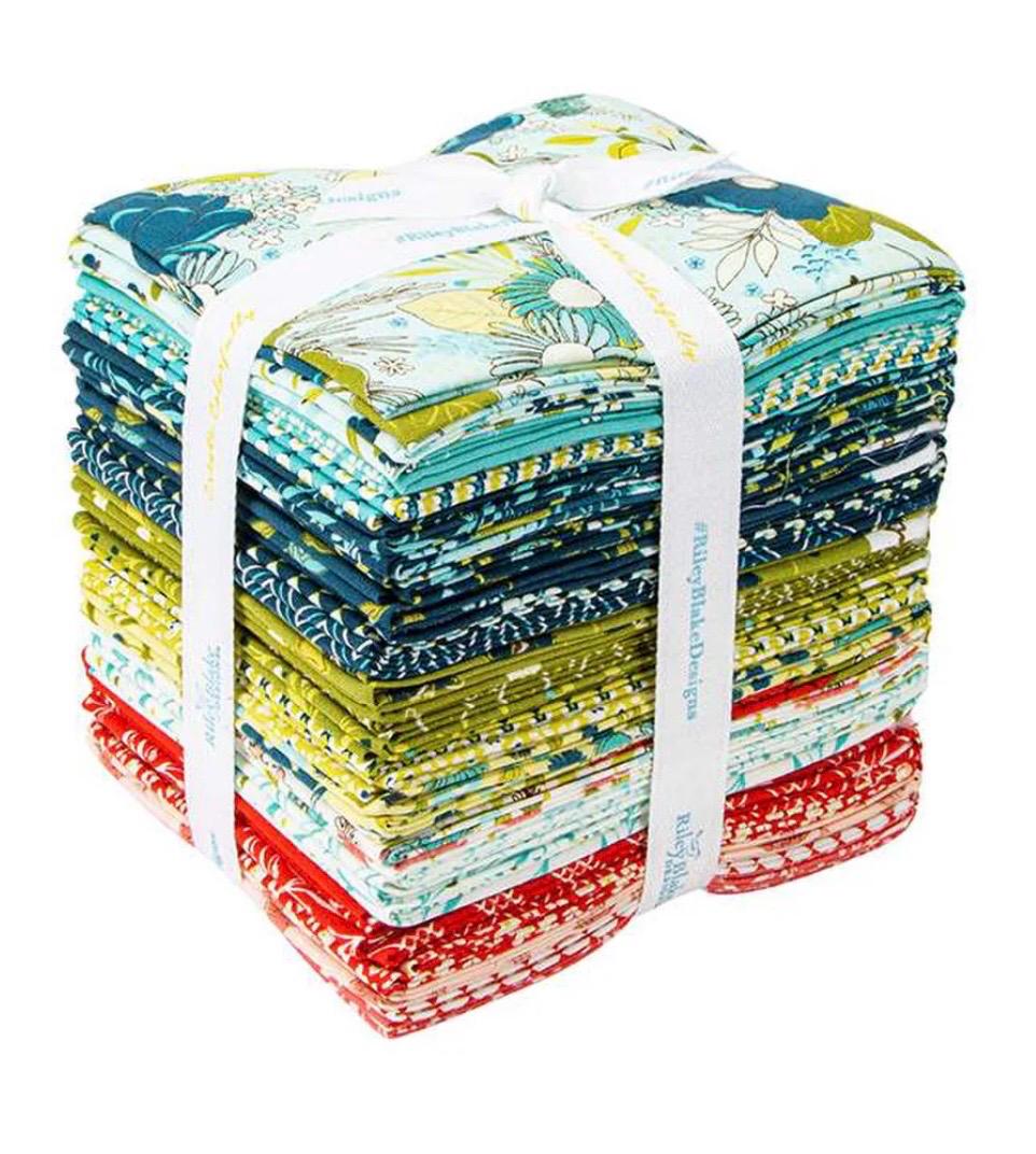 Riley Blake Sandy Gervais Feed My Soul Fabric Collection 30 Fat Quarter Bundle