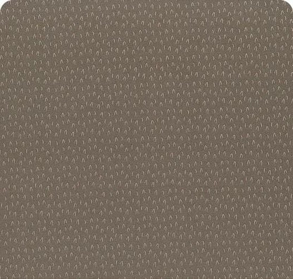 Riley Blake Jennifer Long To Grandmother's House Fabric Collection Big Bad Wolf on Pewter Premium 100% Cotton Quilt Shop Quality Fabrics