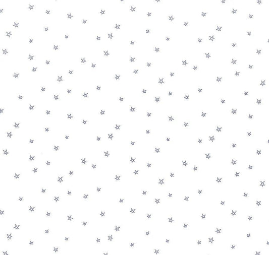 Riley Blake Bee Plaids Fabric Collection Pebble Farmhouse Star C12039 Authentic Premium 100% Cotton Quilt Shop Quality Fabrics