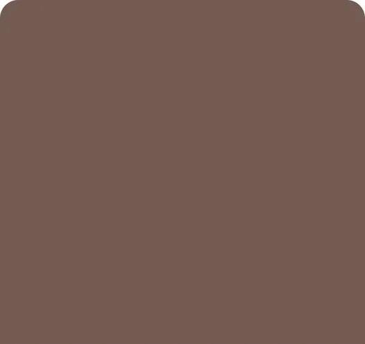 Riley Blake Confetti Cottons Fabric Collection Raisin C-120 Raisin Authentic Premium 100% Cotton Quilt Shop Quality Fabrics
