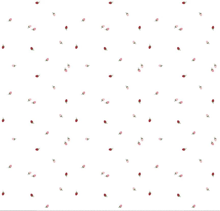 Riley Blake Jennifer Long To Grandmother's House Fabric Collection Bit of Berries on Cloud
