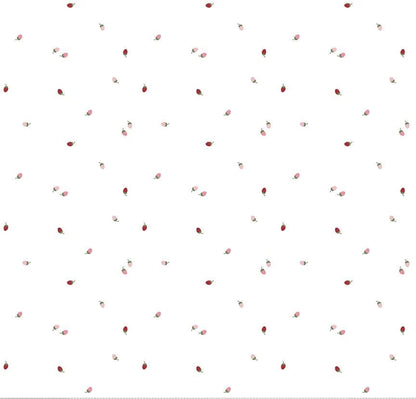 Riley Blake Jennifer Long To Grandmother's House Fabric Collection Bit of Berries on Cloud