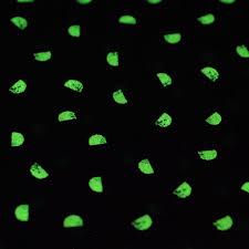 Glow-In-The-Dark Lewis & Irene Dino Glow Fabric Collection Dino Blender on Blue A672.3
