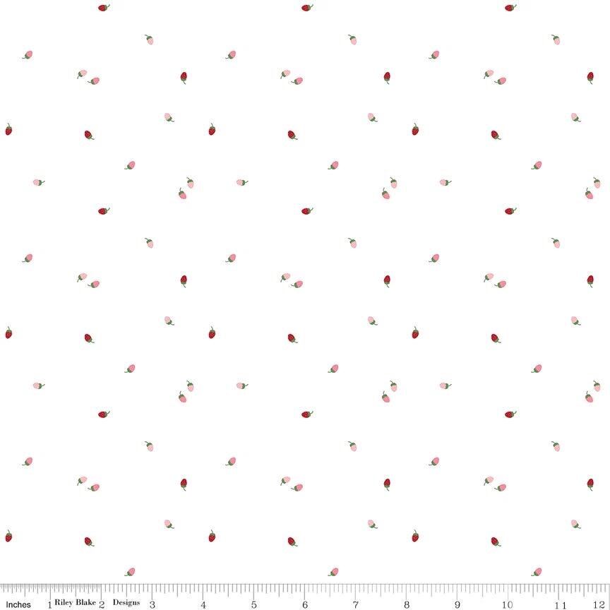 Riley Blake Jennifer Long To Grandmother's House Fabric Collection Bit of Berries on Cloud