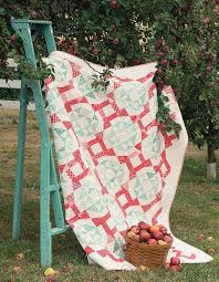 Anna Dineen's You've Got A Point! - Quilt Book Stunning Quilts With Triangle-In-A-Square Blocks (Softcover)