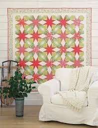 Anna Dineen's You've Got A Point! - Quilt Book Stunning Quilts With Triangle-In-A-Square Blocks (Softcover)
